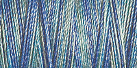 Spool of variegated light and mid blue 30 weight quilting thread - code 4014