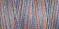 Gutermann 30 Cotton Quilting Thread Variegated - Code 4031