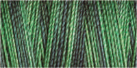 Spool of variegated dark and mid green cotton 30 weight quilting thread - code 4051
